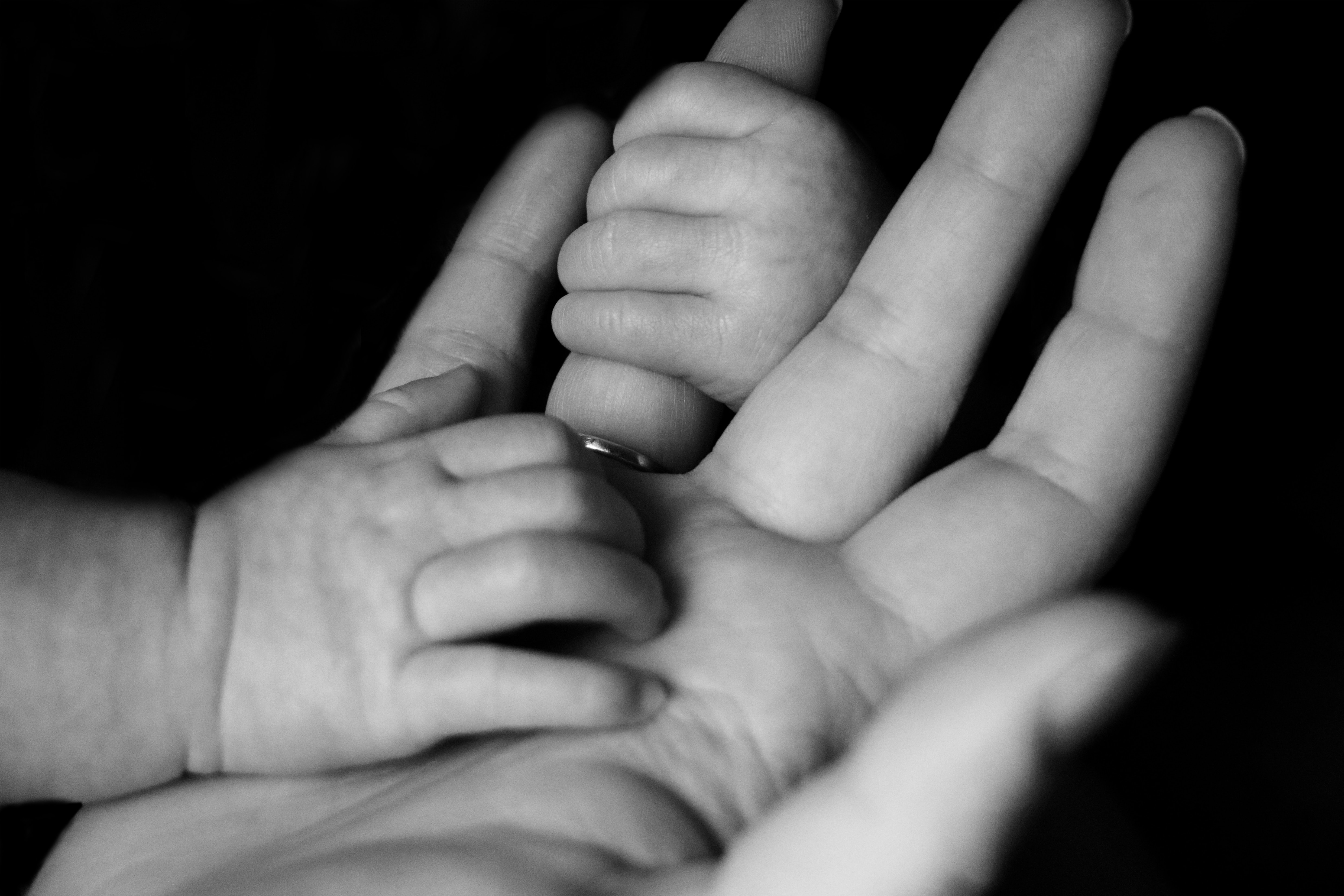 El amor de los abuelos