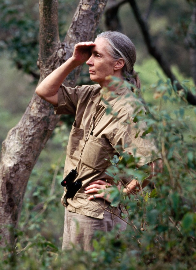 LTS- Jane Goodall